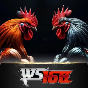 Ws168 Sabung - MEGABET808