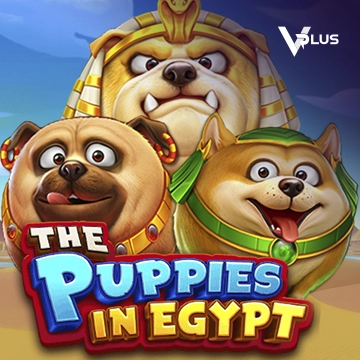 Vplus : The Puppies In Egypt - MEGABET808