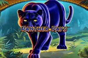 Playtech : Panther Pays - MEGABET808